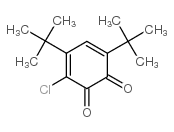 2-chloro-3,5-ditert-butyl-cyclohexa-2,4-diene-1,6-dione Structure