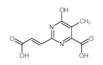 2-(2-carboxyvinyl)-6-hydroxy-5-methyl-4-pyrimidinecarboxylic acid结构式