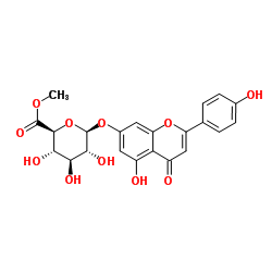 Apigenin 7-O-methylglucuronide picture