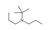 2-methyl-N,N-dipropylpropan-2-amine结构式