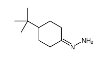 (4-tert-butylcyclohexylidene)hydrazine Structure