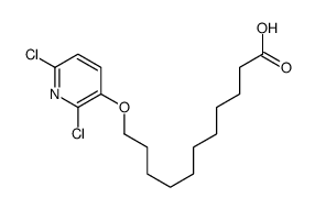 11-(2,6-dichloropyridin-3-yl)oxyundecanoic acid结构式