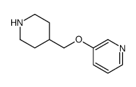 3-(哌啶-4-基甲氧基)吡啶结构式