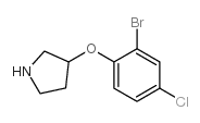 3-(2-Bromo-4-chloro-phenoxy)-pyrrolidine Structure