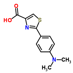 2-(4-(Dimethylamino)phenyl)thiazole-4-carboxylic acid structure