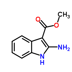 2-氨基吲哚-3-羧酸甲酯结构式