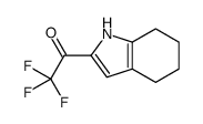 Ethanone, 2,2,2-trifluoro-1-(4,5,6,7-tetrahydro-1H-indol-2-yl)- (9CI) picture