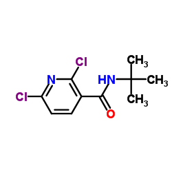 N-(tert-butyl)-2,6-dichloronicotinamide Structure