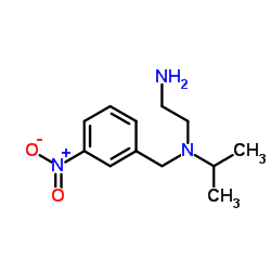 N-Isopropyl-N-(3-nitrobenzyl)-1,2-ethanediamine Structure
