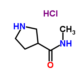 N-Methyl-3-pyrrolidinecarboxamide HCl picture