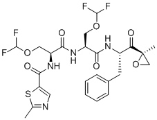 FV-162 structure