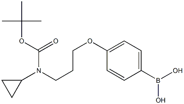 4-(3-(叔-丁氧基羰基(环丙基)氨基)丙氧基)苯基硼酸结构式
