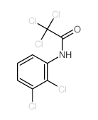 2,2,2-trichloro-N-(2,3-dichlorophenyl)acetamide structure