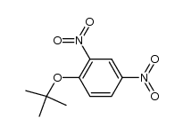 tert-Butyl-2,4-dinitrophenylether Structure