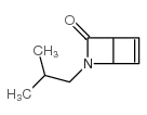2-Azabicyclo[2.2.0]hex-5-en-3-one,2-(2-methylpropyl)-,(+)-(9CI)结构式
