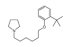 1-[6-(2-tert-butylphenoxy)hexyl]pyrrolidine结构式