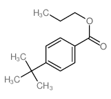 propyl 4-tert-butylbenzoate结构式