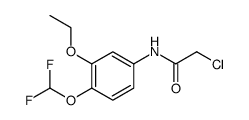 2-CHLORO-N-(4-DIFLUOROMETHOXY-3-ETHOXY-PHENYL)-ACETAMIDE picture