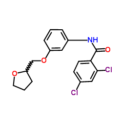 2,4-Dichloro-N-[3-(tetrahydro-2-furanylmethoxy)phenyl]benzamide Structure