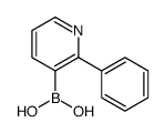 2-Phenylpyridine-3-boronic acid structure