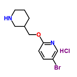 5-Bromo-2-(3-piperidinylmethoxy)pyridine hydrochloride (1:1)结构式