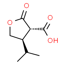 3-Furancarboxylicacid,tetrahydro-4-(1-methylethyl)-2-oxo-,trans-(9CI) picture