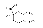 2-AMINO-1,2,3,4-TETRAHYDRO-6-BROMO-2-NAPHTHALENE CARBOXYLIC ACID picture