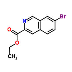 Ethyl 7-bromoisoquinoline-3-carboxylate picture