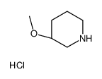 (S)-3-甲氧基哌啶盐酸盐图片