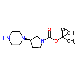 (R)-tert-butyl 3-(piperazin-1-yl) pyrrolidine-1-carboxylate图片