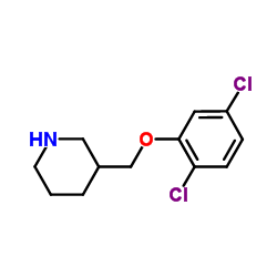 3-[(2,5-Dichlorophenoxy)methyl]piperidine Structure