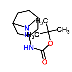 内-8-氮杂双环[3.2.1]辛-3-基氨基甲酸叔丁酯图片