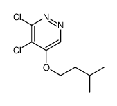 3,4-dichloro-5-(3-methylbutoxy)pyridazine结构式