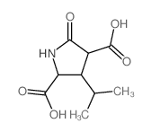5-oxo-3-propan-2-yl-pyrrolidine-2,4-dicarboxylic acid picture