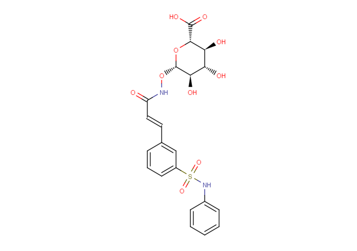 Belinostat Glucuronide Structure