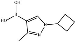 3-Methyl-1-(cyclobutyl)pyrazole-4-boronic acid picture