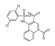 2,5-dichloro-N-(2,4-dinitronaphthalen-1-yl)benzenesulfonamide Structure