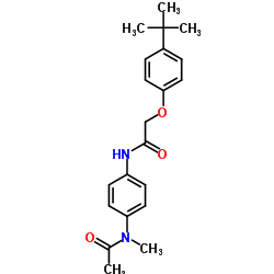 N-Methyl-N-[4-({[4-(2-methyl-2-propanyl)phenoxy]acetyl}amino)phenyl]acetamide Structure