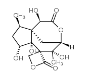 Anisatin structure