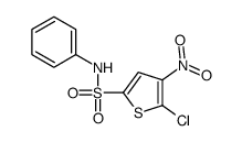 5-chloro-4-nitro-N-phenylthiophene-2-sulfonamide Structure