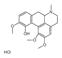 Isocorydine Structure