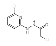 Aceticacid, 2-chloro-, 2-(6-chloro-2-pyridinyl)hydrazide Structure