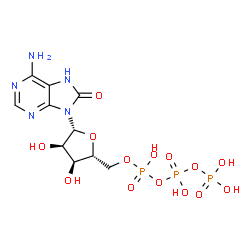 8-hydroxyadenosine 5'-triphosphate Structure