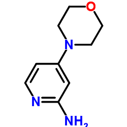 2-氨基-4-(4-吗啉基)吡啶图片