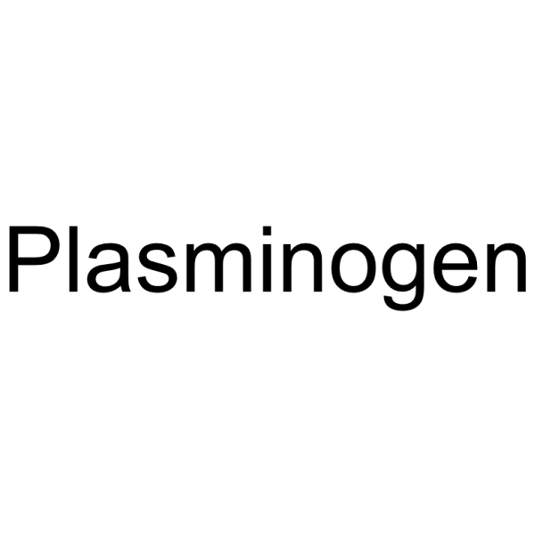 Plasminogen Structure