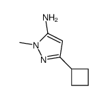 1H-Pyrazol-5-amine,3-cyclobutyl-1-methyl- picture