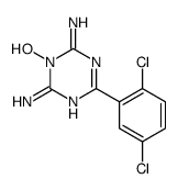 4-(2,5-dichlorophenyl)-1-hydroxy-6-imino-1,3,5-triazin-2-amine结构式