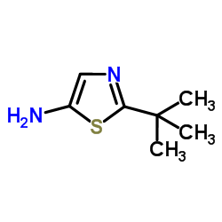 2-(2-Methyl-2-propanyl)-1,3-thiazol-5-amine Structure