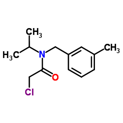 2-Chloro-N-isopropyl-N-(3-methylbenzyl)acetamide结构式