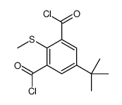 5-tert-butyl-2-methylsulfanylbenzene-1,3-dicarbonyl chloride Structure